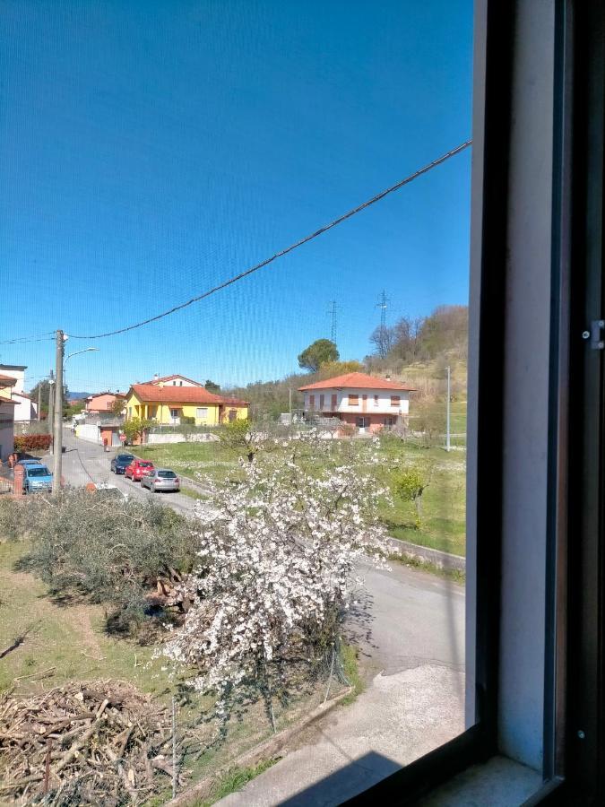 Apartment Paradiso *