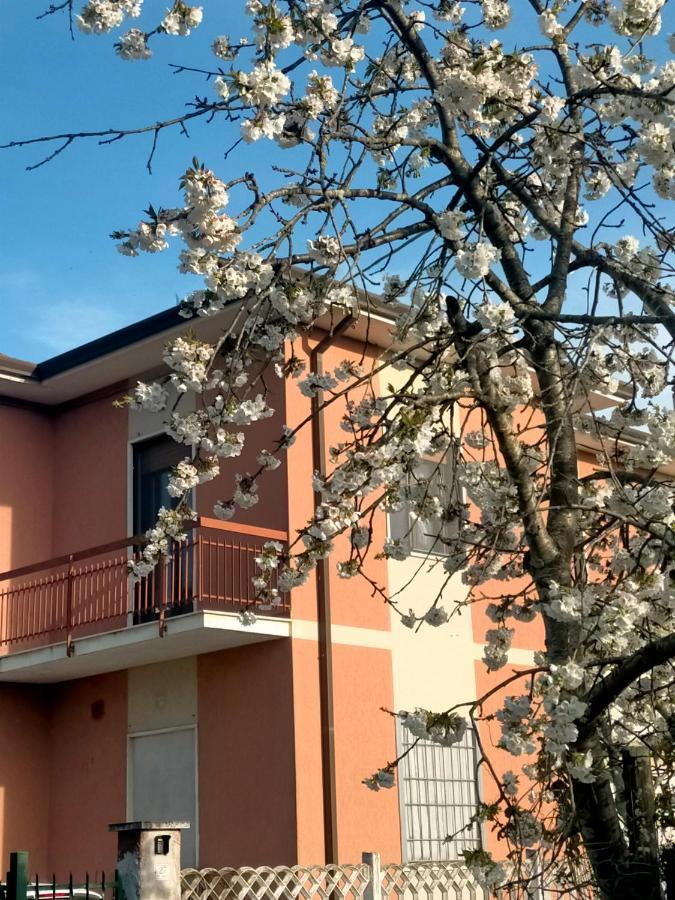 Apartment Paradiso *